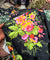 Premium FABRICS On (SALE Prices) Discount