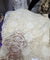 Premium FABRICS On (SALE Prices) Discount