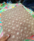 Premium FABRICS On (SALE Prices) Discount