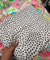 Premium FABRICS On (SALE Prices) Discount
