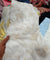 Premium FABRICS On (SALE Prices) Discount