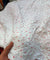 Premium FABRICS On (SALE Prices) Discount