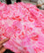 Premium FABRICS On (SALE Prices) Discount