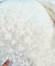 Most Premium Imported Fine Embroidery Imported Organza FABRIC (Big WIDTH!!) - DYEABLE ALSO
