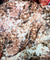 Premium FABRICS On (SALE Prices) Discount
