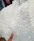 Premium FABRICS On (SALE Prices) Discount