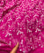 Most Premium Pure Fine Thread Embroidery On Cotton FABRIC (Big WIDTH!!)