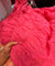 Premium FABRICS On (SALE Prices) Discount