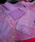 Most Premium Cotton Suit Collection (Complete Suit With Dupatta)