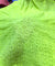Most Premium Pure Cotton Hakuba Chikankari Fabric (Big WIDTH!!)