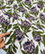 Most Premium BRANDED Pure LINEN Cotton PRINTED FABRIC (Big WIDTH!!)