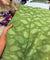 Premium FABRICS On (SALE Prices) Discount