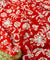 Cut Piece SALE- Premium Designer HAKUBA CHIKANKARI FABRICS IN SALE - Cut SIZE (2.5) METER