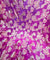 Most Premium Pure Georgette Fine Zari Weaving FABRIC (Big WIDTH!!)