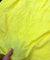 Most Premium Pure Cotton Hakuba Chikankari Fabric (Big WIDTH!!)