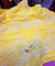 Most Premium Pure Cotton Hakuba Chikankari Fabric (Big WIDTH!!)