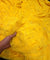 Most Premium Embroidery Pure Georgette FABRIC