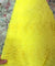 Premium FABRICS On (SALE Prices) Discount