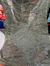 Premium Fendy Silk Organza FABRIC With Fine Embroidery