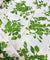 Most Premium Pure Cotton Hakuba Chikankari Printed Fabric (Big WIDTH!!)
