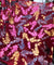 Most Premium Imported Plachi Brasso Velvet
