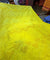 Most Premium Pure Cotton Hakuba Chikankari Fabric (Big WIDTH!!)