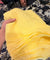 Premium FABRICS On (SALE Prices) Discount