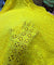 (SALE Prices) Most Premium Pure Cotton Hakuba Chikankari Fabric (Big WIDTH!!)
