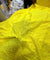 (SALE Prices) Most Premium Pure Cotton Hakuba Chikankari Fabric (Big WIDTH!!)