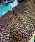 Most Premium Banarasi Silk FABRIC