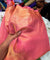 Premium FABRICS On (SALE Prices) Discount