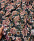 (SALE Prices) Most Premium Fine Zari Weaving On Pure Georgette FABRIC