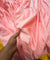 Most Premium Branded Export LINEN Cotton FABRICS (Big WIDTH!!)