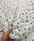 (SALE Prices) Pure Cotton Hakuba Chikankari  (Big WIDTH!!)