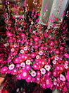 Most Premium Imported 3D Applique Fine Embroidery Imported NET FABRIC (Big WIDTH!!)