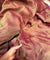 Premium Salsa Organza SILK FABRIC