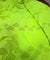 On Discounted PRICES !! Most Premium Hakuba Chikankari Cotton FABRIC (Big WIDTH!!)