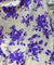 (On Discounted Price) Most Premium Hakuba Chikankari Cotton FABRIC (Big Width!!)
