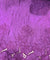 Cut Piece SALE- Premium Designer HAKUBA CHIKANKARI FABRICS IN SALE - Cut SIZE (0.90) METER