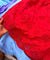 Most Premium Pure Hakuba Chikankari Cotton Fabric