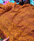 Most Premium Pure Hakuba Chikankari Cotton Fabric (Big WIDTH!!)