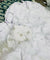 Most Premium Fine Jacquard Weaving On Pure Georgette FABRIC (Big WIDTH!!)