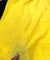 (On SALE PRICES) Most Premium Pure Hakuba Chikankari Cotton Fabric