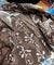 Premium BRANDED Pure Cotton PRINTED Suits (Complete Suit With Dupatta)