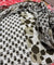 Premium BRANDED Pure Cotton PRINTED Suits (Complete Suit With Dupatta)