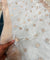 (SALE Discounted Prices) Premium Dupatta