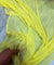 (SALE Discounted Prices) Premium Dupatta