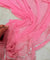 (SALE Discounted Prices) Premium Dupatta