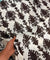 Most Premium Pure Cotton Printed Fabric (Big WIDTH!!)