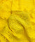 Most Premium Pure Cotton Hakuba Chikankari Fabric (Big WIDTH!!)